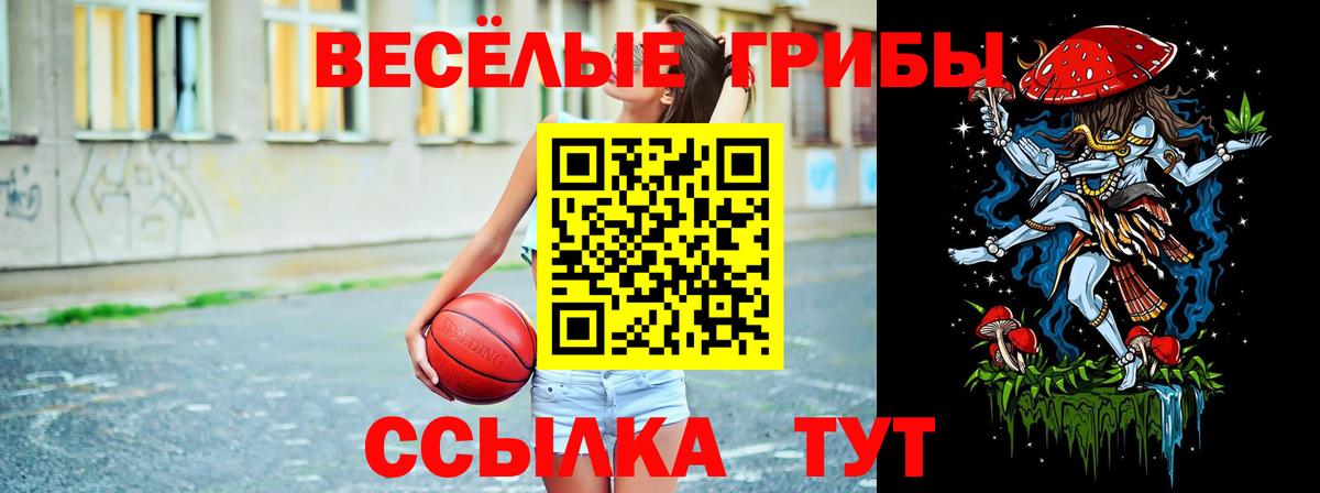 Железноводск  Галлюциногенные грибы Magic Shrooms  Вход с VPN 